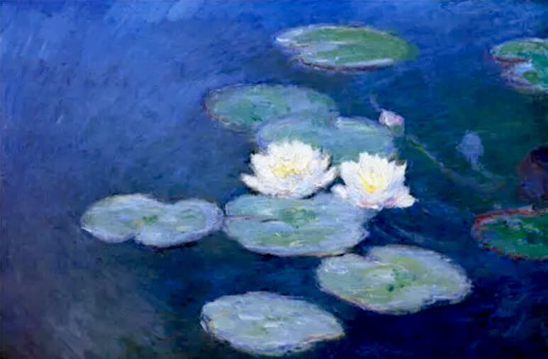 nympheas